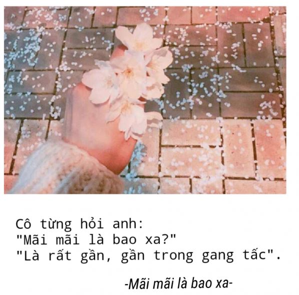 Mãi mãi là bao xa? Là rất gần hay rất xa